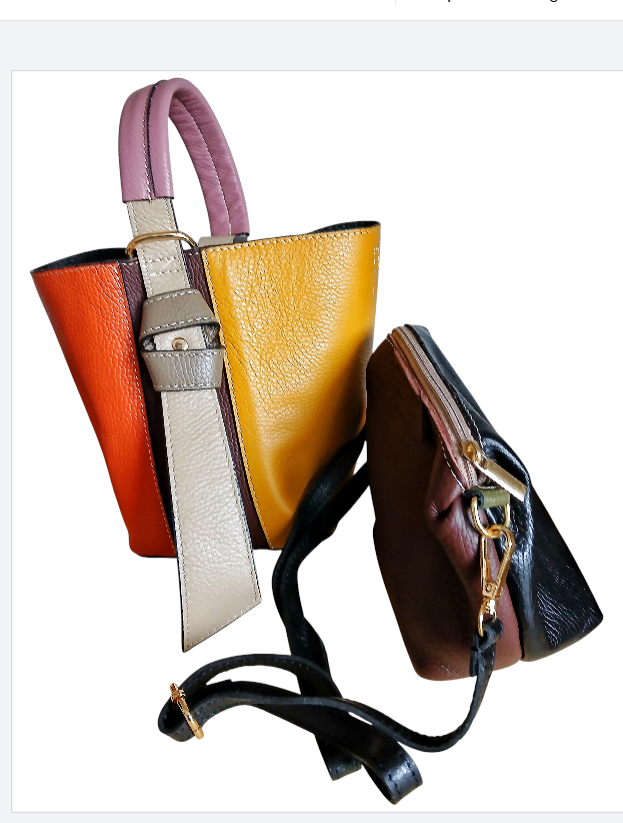 CHENSON & GORETT Beautiful Multicolour and Exclusive Italian Leather Bag with Women's Inner Bag